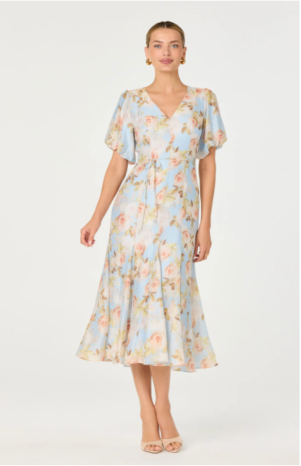 Lavena Dress