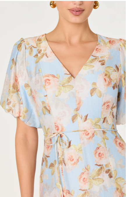 Lavena Dress